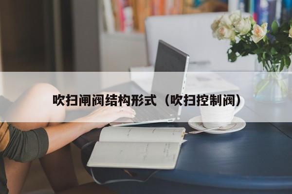 吹扫闸阀结构形式（吹扫控制阀）