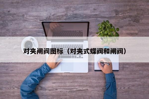 对夹闸阀图标（对夹式蝶阀和闸阀）