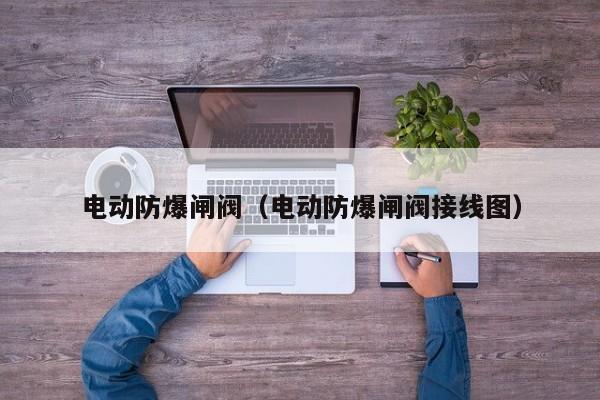 电动防爆闸阀（电动防爆闸阀接线图）