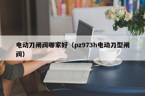 电动刀闸阀哪家好（pz973h电动刀型闸阀）