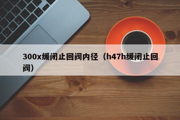 300x缓闭止回阀内径（h47h缓闭止回阀）