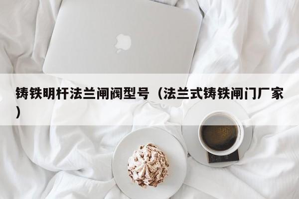 铸铁明杆法兰闸阀型号（法兰式铸铁闸门厂家）