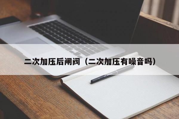 二次加压后闸阀（二次加压有噪音吗）