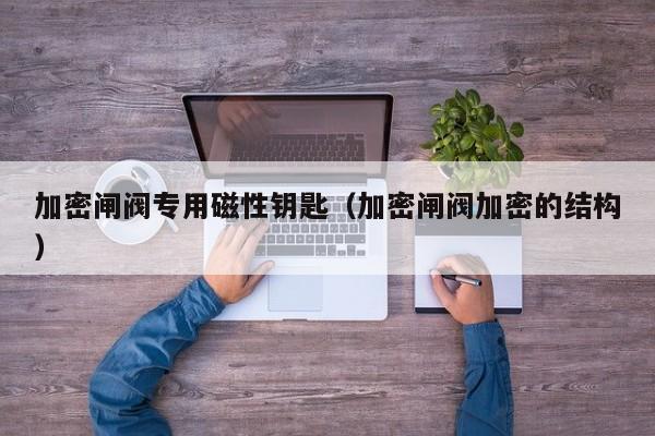 加密闸阀专用磁性钥匙（加密闸阀加密的结构）