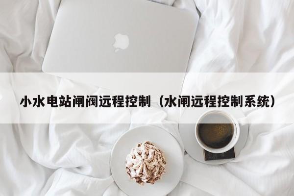小水电站闸阀远程控制（水闸远程控制系统）