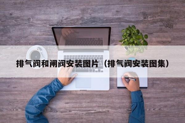 排气阀和闸阀安装图片（排气阀安装图集）