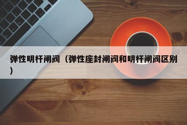 弹性明杆闸阀（弹性座封闸阀和明杆闸阀区别）