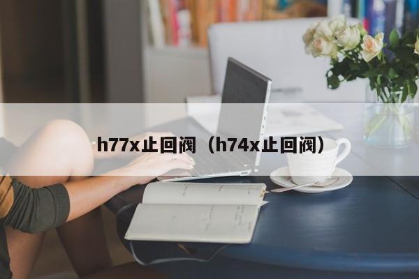 h77x止回阀（h74x止回阀）