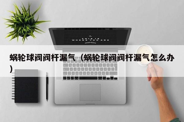 蜗轮球阀阀杆漏气（蜗轮球阀阀杆漏气怎么办）