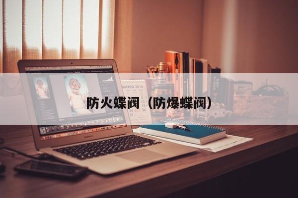 防火蝶阀（防爆蝶阀）