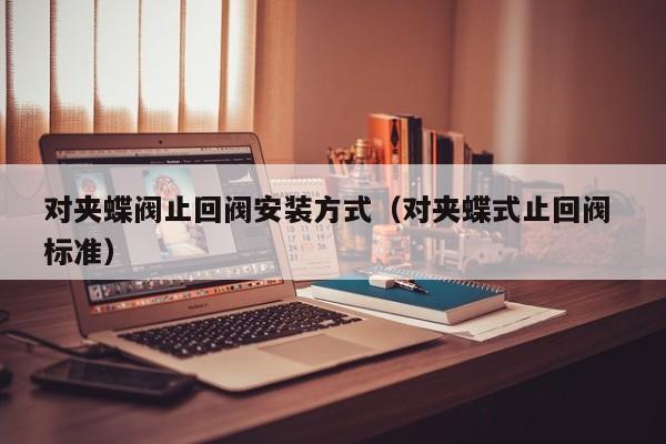 对夹蝶阀止回阀安装方式（对夹蝶式止回阀 标准）