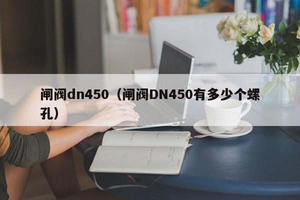 闸阀dn450（闸阀DN450有多少个螺孔）