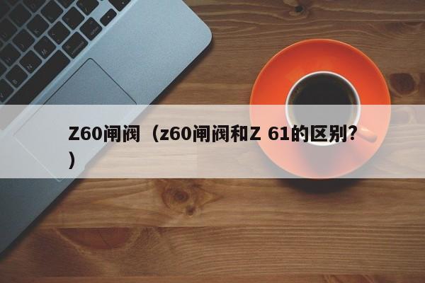 Z60闸阀（z60闸阀和Z 61的区别?）