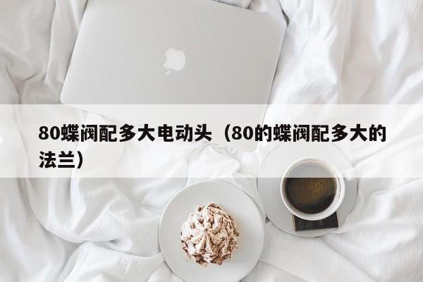 80蝶阀配多大电动头（80的蝶阀配多大的法兰）