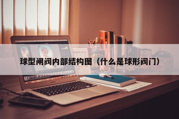球型闸阀内部结构图（什么是球形阀门）