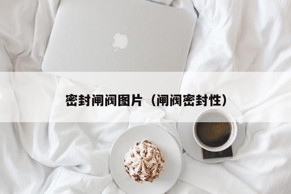 密封闸阀图片（闸阀密封性）