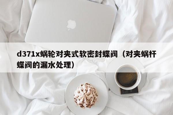 d371x蜗轮对夹式软密封蝶阀（对夹蜗杆蝶阀的漏水处理）