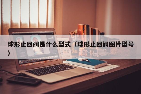 球形止回阀是什么型式（球形止回阀图片型号）