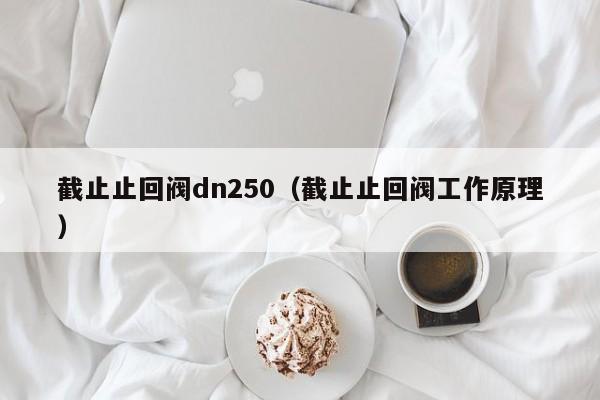 截止止回阀dn250（截止止回阀工作原理）