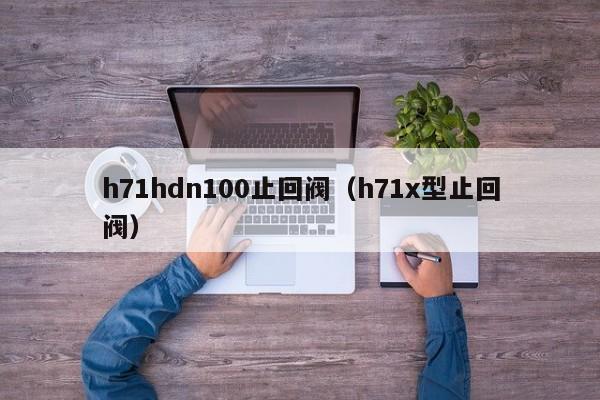 h71hdn100止回阀（h71x型止回阀）
