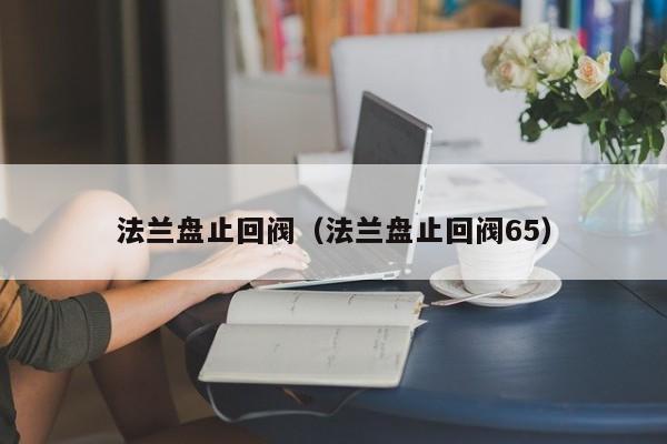 法兰盘止回阀（法兰盘止回阀65）