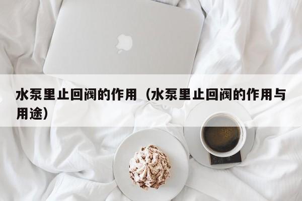 水泵里止回阀的作用（水泵里止回阀的作用与用途）