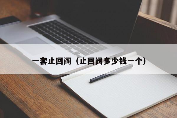 一套止回阀（止回阀多少钱一个）