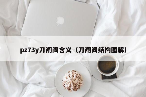 pz73y刀闸阀含义（刀闸阀结构图解）