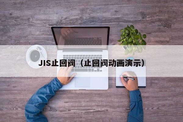 JIS止回阀（止回阀动画演示）