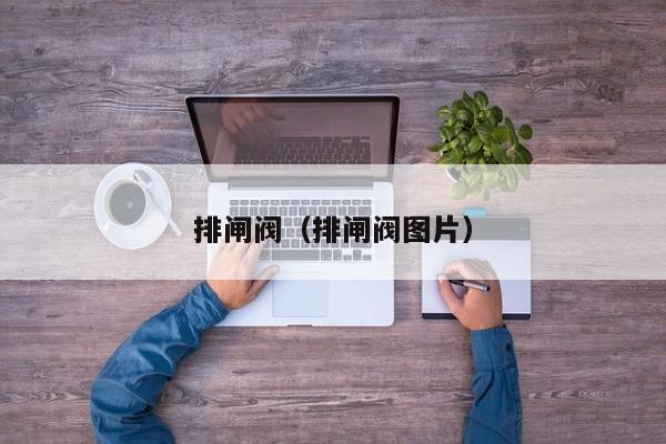 排闸阀（排闸阀图片）