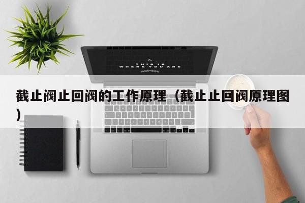 截止阀止回阀的工作原理（截止止回阀原理图）