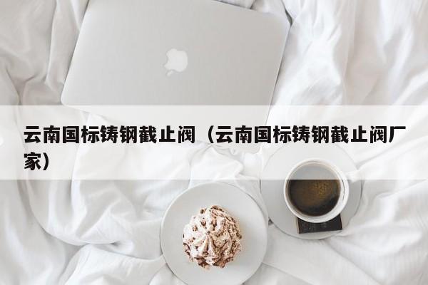 云南国标铸钢截止阀（云南国标铸钢截止阀厂家）