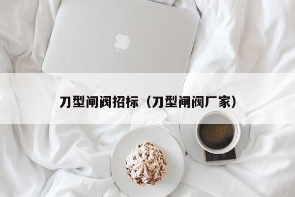 刀型闸阀招标（刀型闸阀厂家）