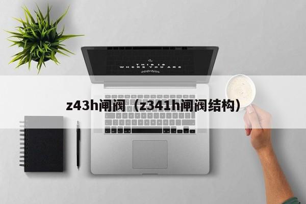 z43h闸阀（z341h闸阀结构）