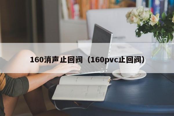 160消声止回阀（160pvc止回阀）