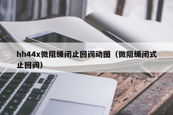 hh44x微阻缓闭止回阀动图（微阻缓闭式止回阀）