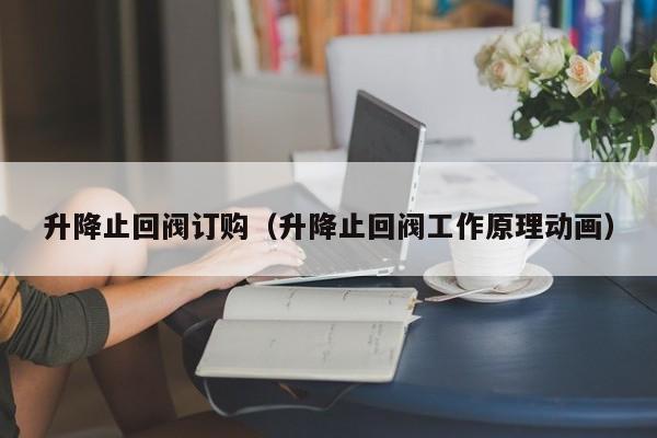 升降止回阀订购（升降止回阀工作原理动画）