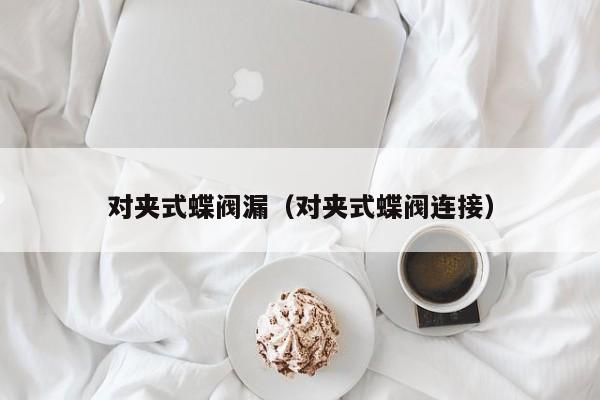 对夹式蝶阀漏（对夹式蝶阀连接）