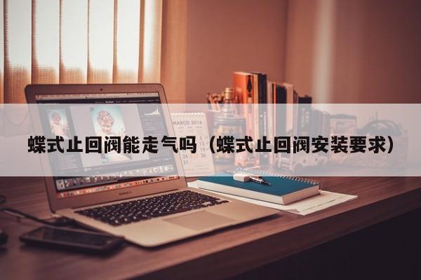 蝶式止回阀能走气吗（蝶式止回阀安装要求）