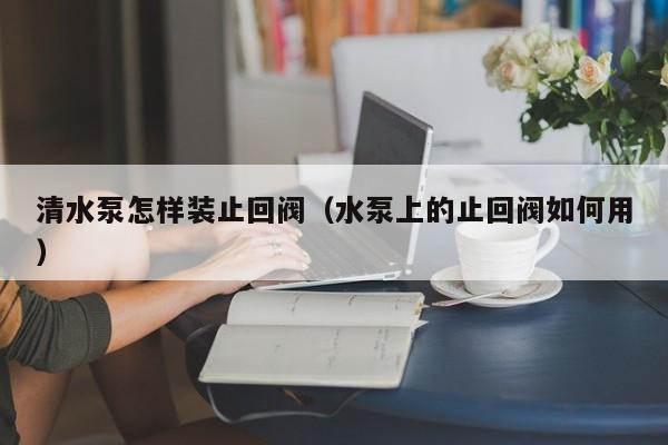 清水泵怎样装止回阀（水泵上的止回阀如何用）