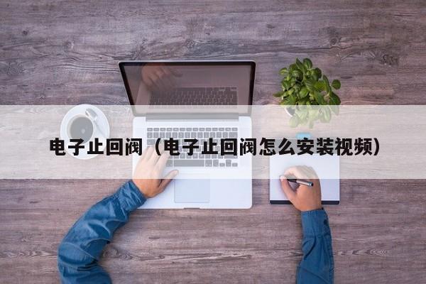 电子止回阀（电子止回阀怎么安装视频）