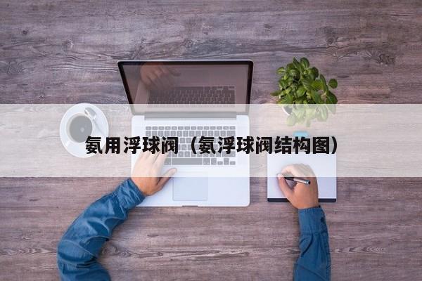 氨用浮球阀（氨浮球阀结构图）