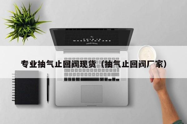专业抽气止回阀现货（抽气止回阀厂家）