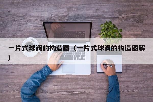 一片式球阀的构造图（一片式球阀的构造图解）