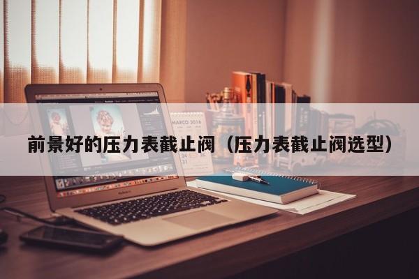 前景好的压力表截止阀（压力表截止阀选型）