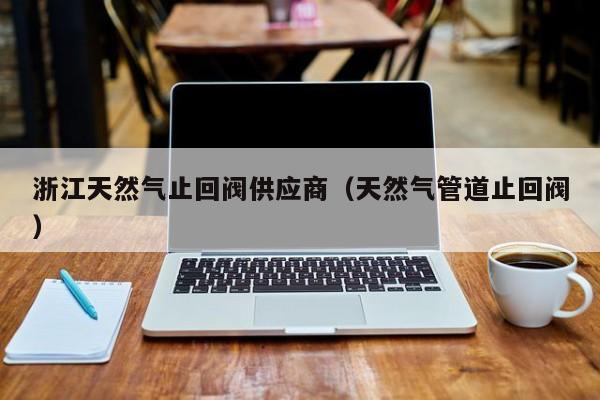 浙江天然气止回阀供应商（天然气管道止回阀）