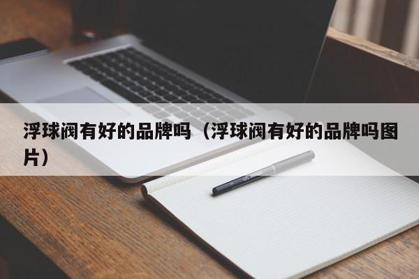 浮球阀有好的品牌吗（浮球阀有好的品牌吗图片）