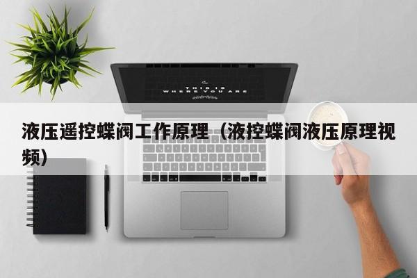 液压遥控蝶阀工作原理（液控蝶阀液压原理视频）