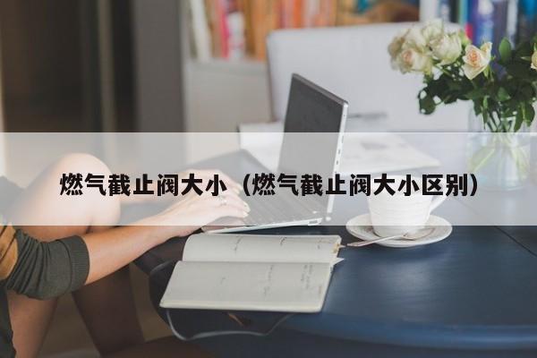 燃气截止阀大小（燃气截止阀大小区别）