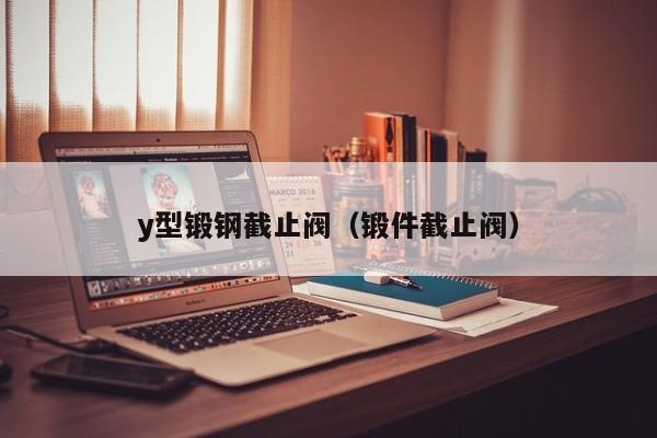 y型锻钢截止阀（锻件截止阀）